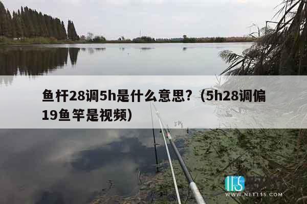 鱼杆28调5h是什么意思?（5h28调偏19鱼竿是视频）