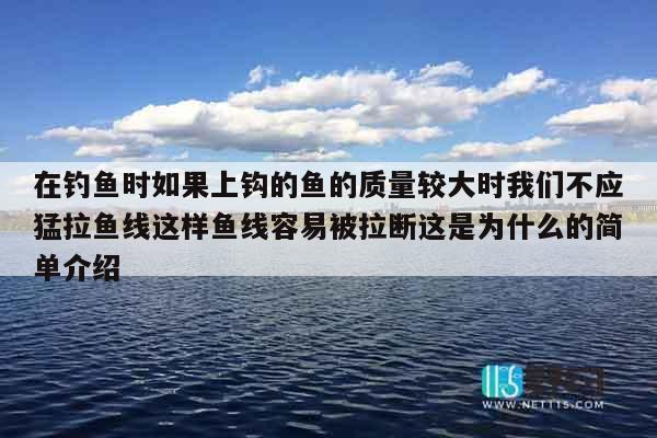 在钓鱼时如果上钩的鱼的质量较大时我们不应猛拉鱼线这样鱼线容易被拉断这是为什么的简单介绍