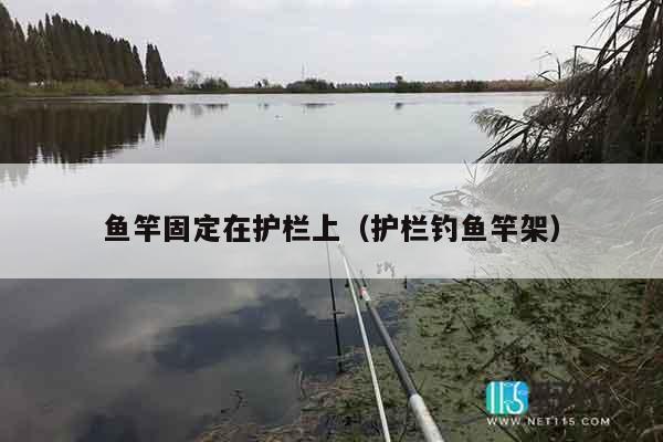 鱼竿固定在护栏上（护栏钓鱼竿架）