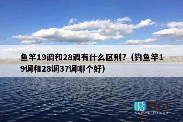 鱼竿19调和28调有什么区别?（钓鱼竿19调和28调37调哪个好）