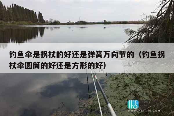 钓鱼伞是拐杖的好还是弹簧万向节的（钓鱼拐杖伞圆筒的好还是方形的好）