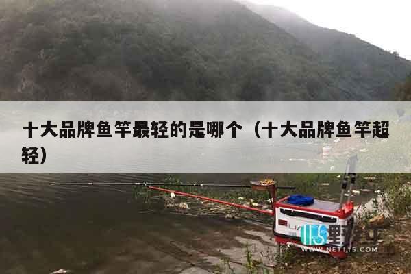 十大品牌鱼竿最轻的是哪个（十大品牌鱼竿超轻）