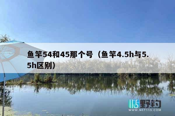 鱼竿54和45那个号（鱼竿4.5h与5.5h区别）