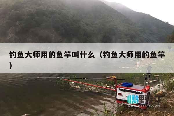 钓鱼大师用的鱼竿叫什么（钓鱼大师用的鱼竿）