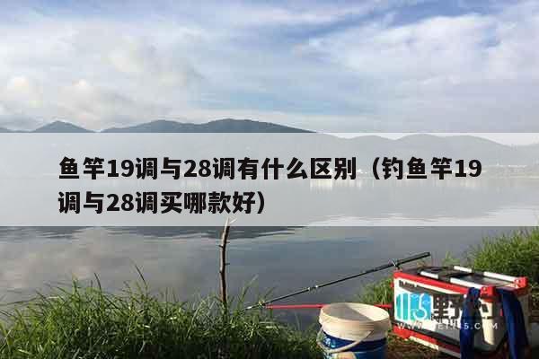 鱼竿19调与28调有什么区别（钓鱼竿19调与28调买哪款好）