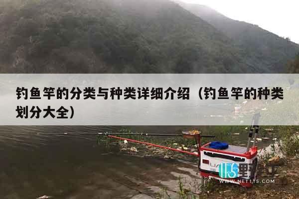 钓鱼竿的分类与种类详细介绍（钓鱼竿的种类划分大全）