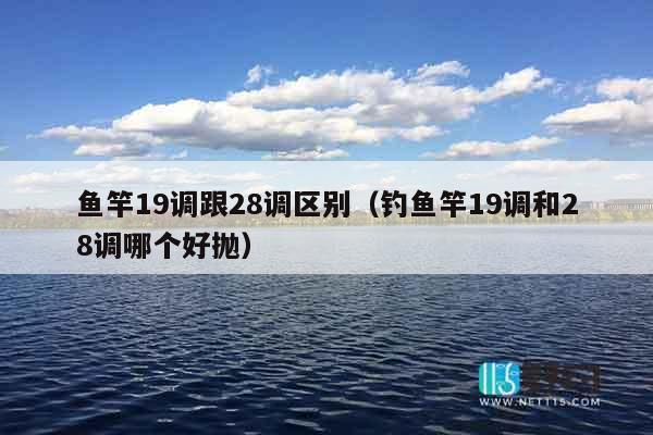 鱼竿19调跟28调区别（钓鱼竿19调和28调哪个好抛）