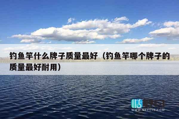 钓鱼竿什么牌子质量最好（钓鱼竿哪个牌子的质量最好耐用）
