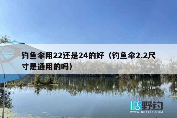 钓鱼伞用22还是24的好（钓鱼伞2.2尺寸是通用的吗）