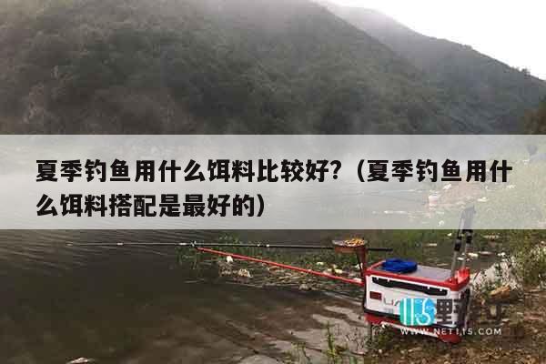夏季钓鱼用什么饵料比较好?（夏季钓鱼用什么饵料搭配是最好的）