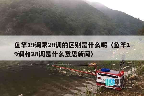 鱼竿19调跟28调的区别是什么呢（鱼竿19调和28调是什么意思新闻）