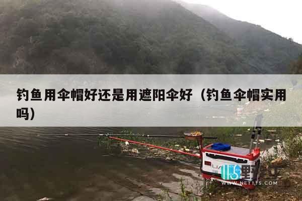 钓鱼用伞帽好还是用遮阳伞好（钓鱼伞帽实用吗）
