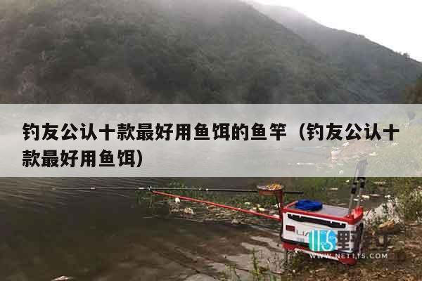 钓友公认十款最好用鱼饵的鱼竿（钓友公认十款最好用鱼饵）