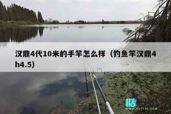 汉鼎4代10米的手竿怎么样（钓鱼竿汉鼎4h4.5）