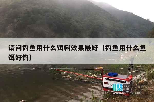 请问钓鱼用什么饵料效果最好（钓鱼用什么鱼饵好钓）