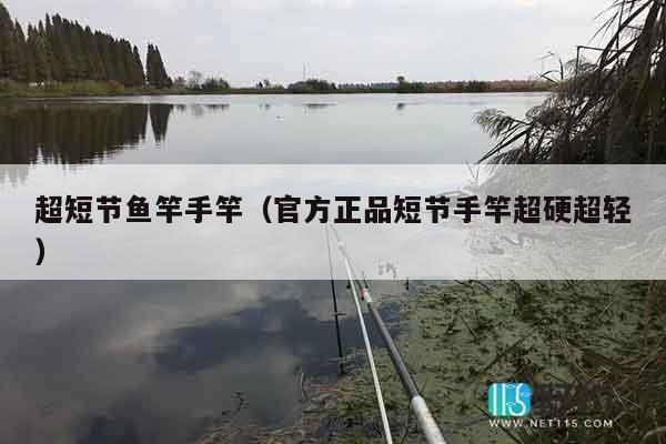 超短节鱼竿手竿（官方正品短节手竿超硬超轻）