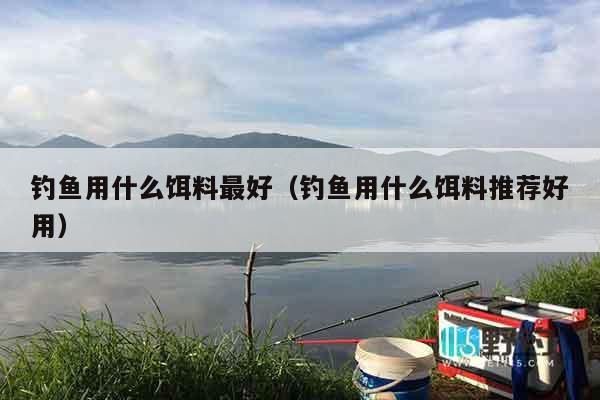 钓鱼用什么饵料最好（钓鱼用什么饵料推荐好用）