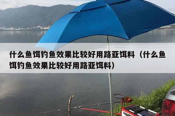 什么鱼饵钓鱼效果比较好用路亚饵料（什么鱼饵钓鱼效果比较好用路亚饵料）