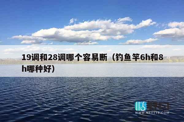 19调和28调哪个容易断（钓鱼竿6h和8h哪种好）