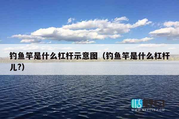 钓鱼竿是什么杠杆示意图（钓鱼竿是什么杠杆儿?）