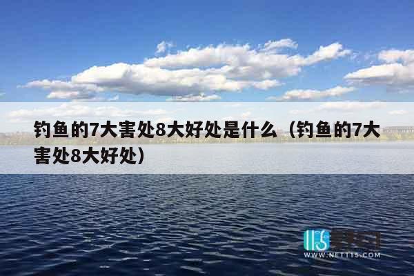 钓鱼的7大害处8大好处是什么（钓鱼的7大害处8大好处）