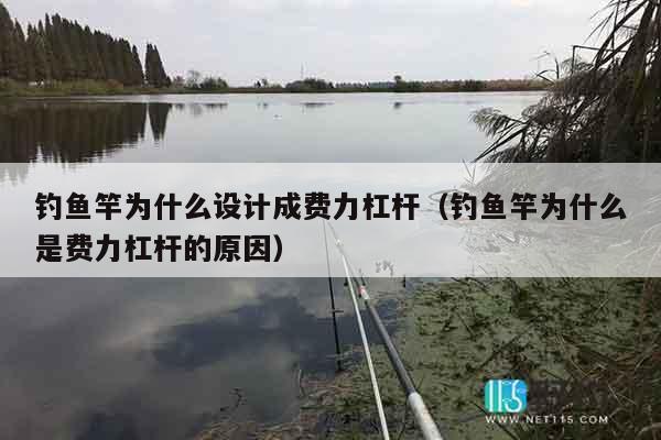 钓鱼竿为什么设计成费力杠杆（钓鱼竿为什么是费力杠杆的原因）