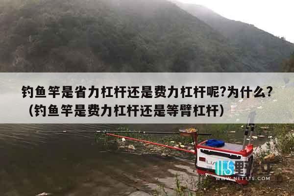 钓鱼竿是省力杠杆还是费力杠杆呢?为什么?（钓鱼竿是费力杠杆还是等臂杠杆）