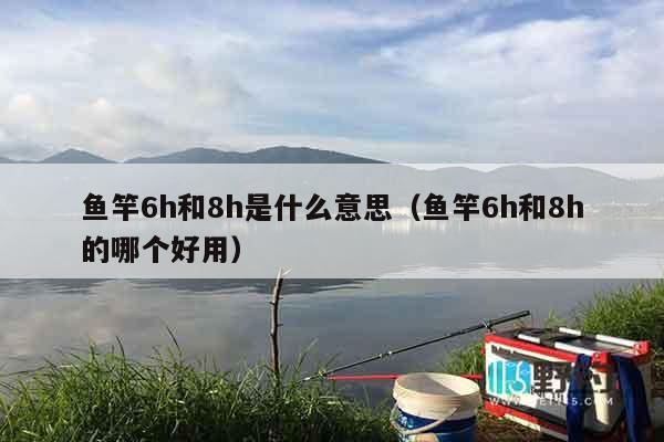 鱼竿6h和8h是什么意思（鱼竿6h和8h的哪个好用）