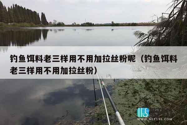 钓鱼饵料老三样用不用加拉丝粉呢（钓鱼饵料老三样用不用加拉丝粉）