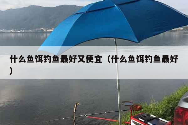 什么鱼饵钓鱼最好又便宜（什么鱼饵钓鱼最好）