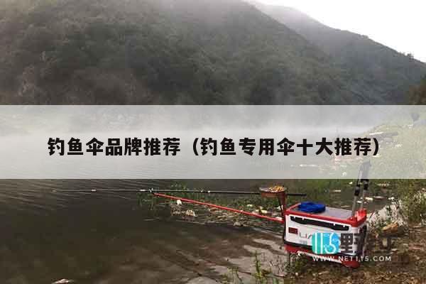 钓鱼伞品牌推荐（钓鱼专用伞十大推荐）