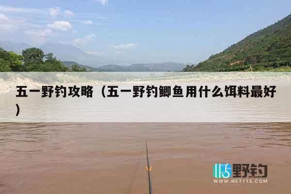 五一野钓攻略（五一野钓鲫鱼用什么饵料最好）