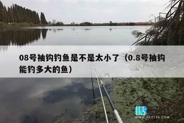 08号袖钩钓鱼是不是太小了（0.8号袖钩能钓多大的鱼）