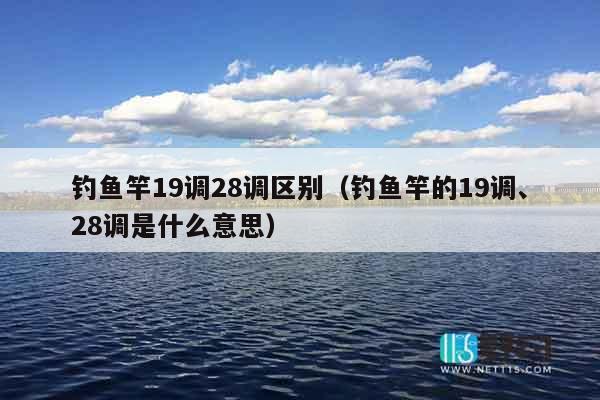 钓鱼竿19调28调区别（钓鱼竿的19调、28调是什么意思）