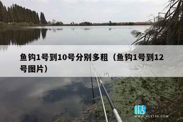 鱼钩1号到10号分别多粗（鱼钩1号到12号图片）