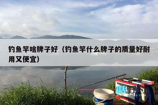 钓鱼竿啥牌子好（钓鱼竿什么牌子的质量好耐用又便宜）