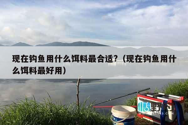 现在钩鱼用什么饵料最合适?（现在钩鱼用什么饵料最好用）