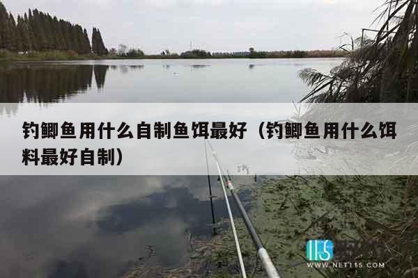 钓鲫鱼用什么自制鱼饵最好（钓鲫鱼用什么饵料最好自制）