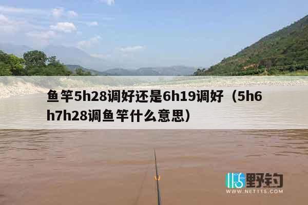 鱼竿5h28调好还是6h19调好（5h6h7h28调鱼竿什么意思）