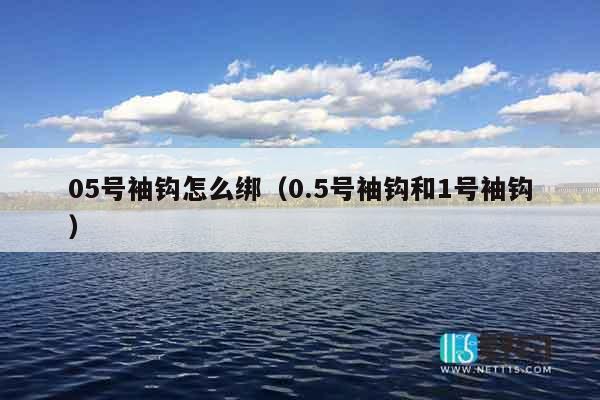 05号袖钩怎么绑（0.5号袖钩和1号袖钩）