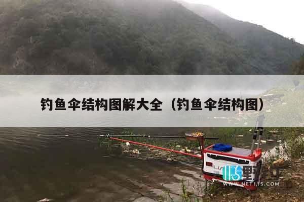 钓鱼伞结构图解大全（钓鱼伞结构图）