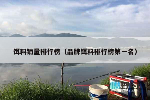 饵料销量排行榜（品牌饵料排行榜第一名）