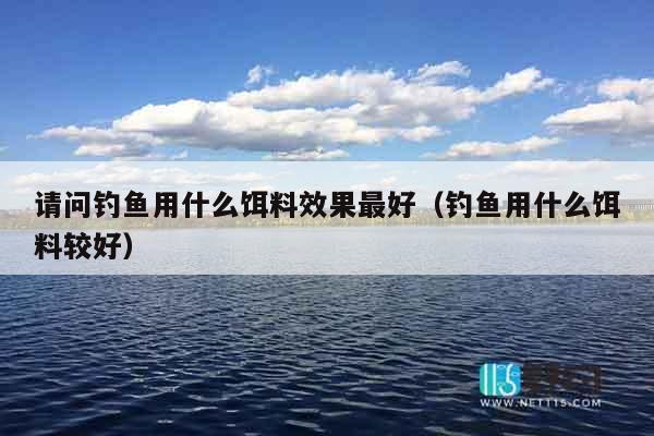 请问钓鱼用什么饵料效果最好（钓鱼用什么饵料较好）