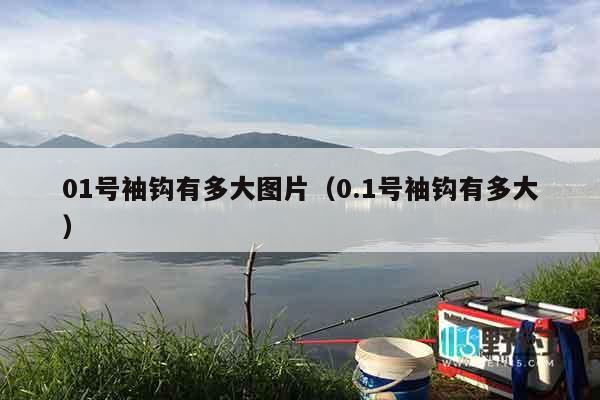 01号袖钩有多大图片（0.1号袖钩有多大）