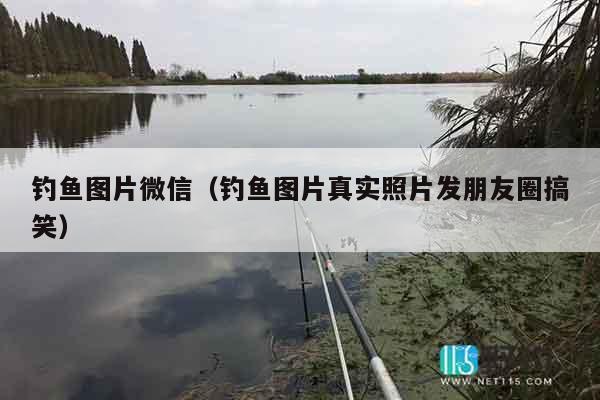 钓鱼图片微信（钓鱼图片真实照片发朋友圈搞笑）