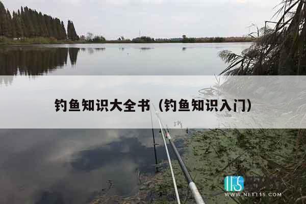 钓鱼知识大全书（钓鱼知识入门）