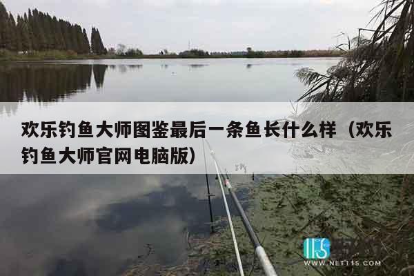 欢乐钓鱼大师图鉴最后一条鱼长什么样（欢乐钓鱼大师官网电脑版）