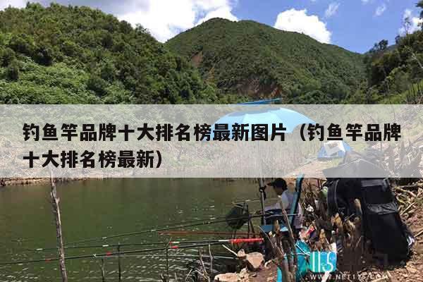 钓鱼竿品牌十大排名榜最新图片（钓鱼竿品牌十大排名榜最新）