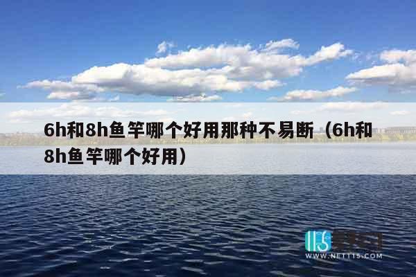 6h和8h鱼竿哪个好用那种不易断（6h和8h鱼竿哪个好用）