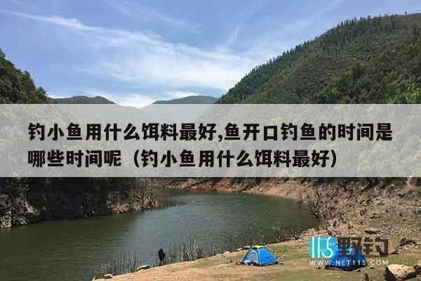 钓小鱼用什么饵料最好,鱼开口钓鱼的时间是哪些时间呢（钓小鱼用什么饵料最好）